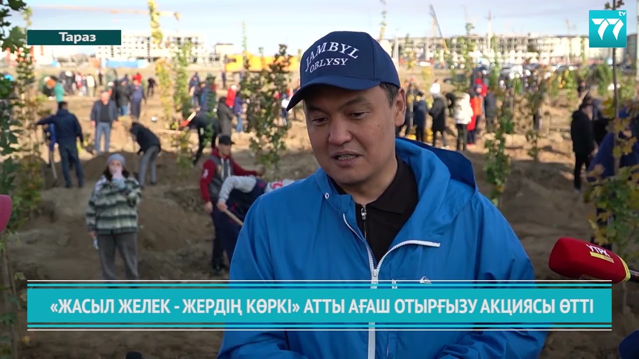 Жасыл желек жанға жайлы