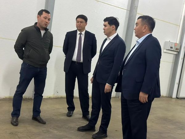 ҚР Ауыл шаруашылығы вице-министрі - ауданда