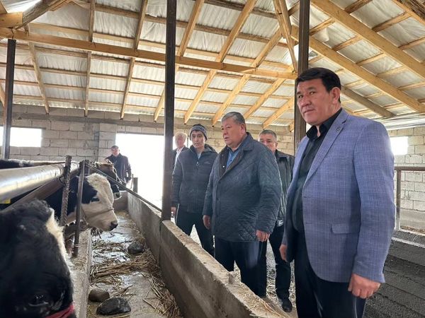 Ауылды жас кәсіпкер арқылы таниды