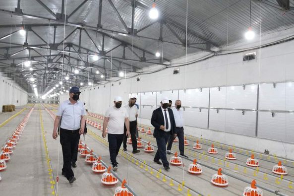 ТҮРКІСТАН: МАҚТААРАЛДА ЖЫЛЫНА 5 МЫҢ ТОННА ҚҰС ЕТІН ӨНДЕРЕТІН ФАБРИКА ІСКЕ ҚОСЫЛДЫ