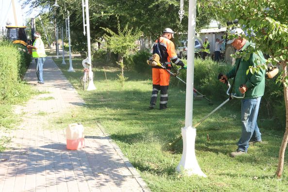 ТҮРКІСТАН: «ТАЗА ҚАЗАҚСТАН» АЯСЫНДА  «ТАЗА АУЫЛ» ЭКОАКЦИЯСЫ ӨТТІ