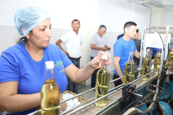 ТҮРКІСТАН: САРЫАҒАШТА ЖҮЗІМ ШАРУАШЫЛЫҒЫН ДАМЫТУ БАҒЫТЫНДА СЕМИНАР ӨТТІ