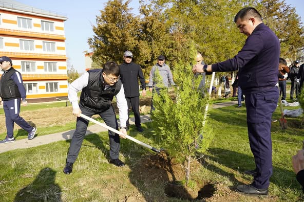 ТҮРКІСТАН: ҚАЗЫҒҰРТТАҒЫ БАРЛЫҚ АУЫЛ ОКРУГІНДЕ АРНАЙЫ ҚОРШАУ ЖАСАЛЫП, БЕС МЫҢ КӨШЕТ ОТЫРҒЫЗЫЛДЫ