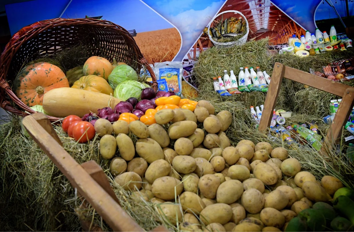 Агроөнеркәсіптік  кешенді дамыту – өңірлік экономика  басымдығы