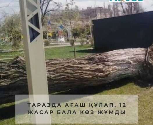 Таразда күшті жел қайғылы оқиғаға себеп болды