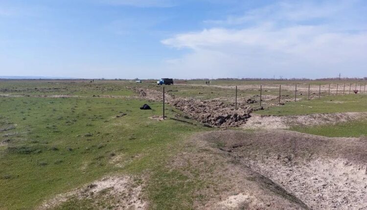 ӨРНЕКТІКТЕР 300 ТҮП АЛМА АҒАШЫН ОТЫРҒЫЗУДА