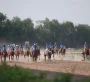 Дүниежүзілік көшпенділер ойындарындағы бәйгеге шабатын аттар белгілі болды