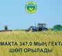 АЙМАҚТА 347,0 МЫҢ ГЕКТАР ШӨП ОРЫЛАДЫ