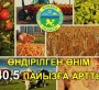 ӨНДІРІЛГЕН ӨНІМ 40,5 ПАЙЫЗҒА АРТТЫ